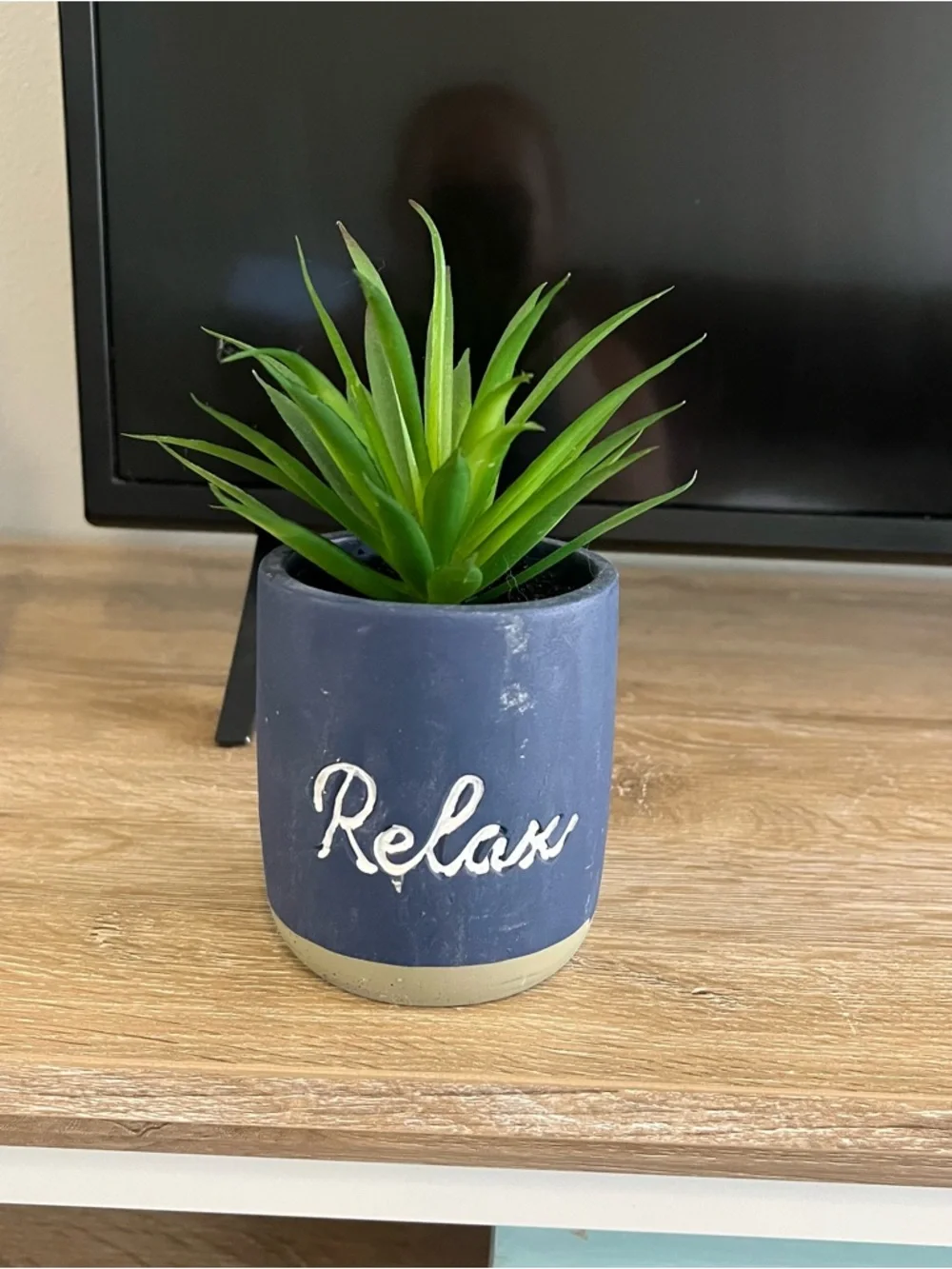 Relax Blue Ceramic Succulent Planter